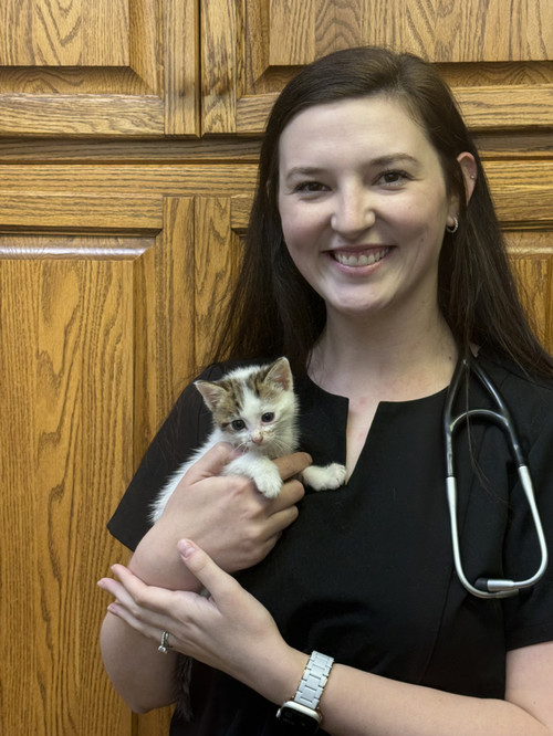 Dr. Tilley, DVM